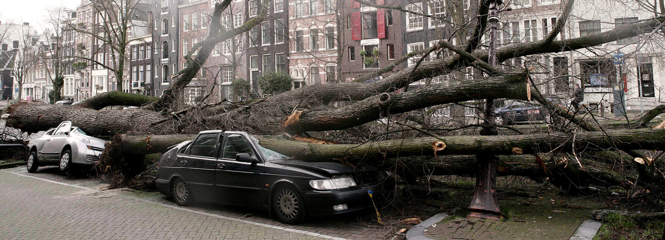 dégâts dus à une tempête