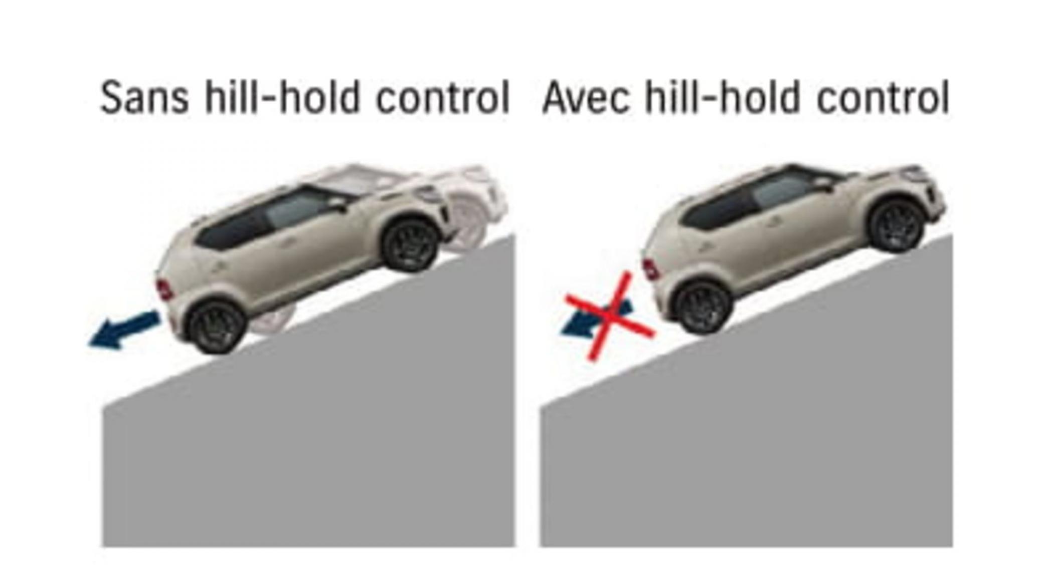 hilld hold ignis